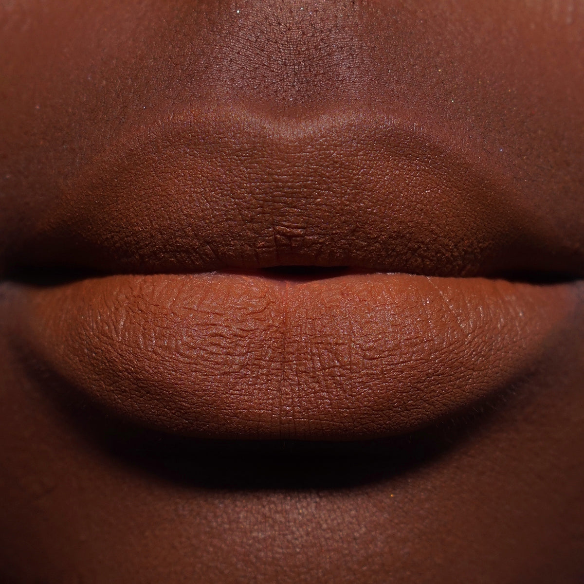 Revolution Air Blur Matte Liquid Lipstick Coco